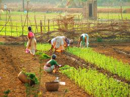 Goa women