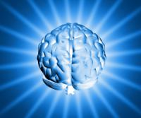 1254880shinybrain