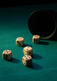 1385675dices