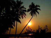 IndiaGoaChaporaRiverSunsetPalmtree