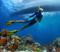 freediving 1