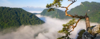 pieniny 1